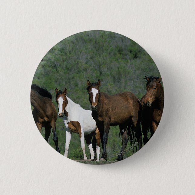 Badge Rond 5 Cm Groupe de chevaux sauvages de mustang (Devant)