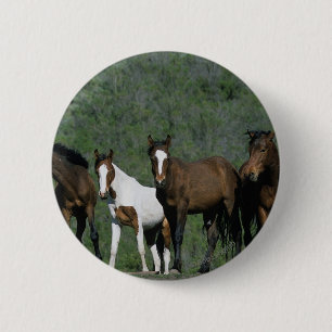 Badge Rond 5 Cm Groupe de chevaux sauvages de mustang