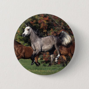 Badge Rond 5 Cm Groupe de fonctionnement arabe de chevaux