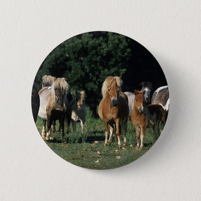 Badge Rond 5 Cm Groupe de poulains miniatures (Devant)