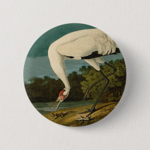 Badge Rond 5 Cm Grue blanche Audubon Peinture d'oiseaux