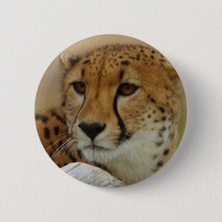 Badge Rond 5 Cm Guépard