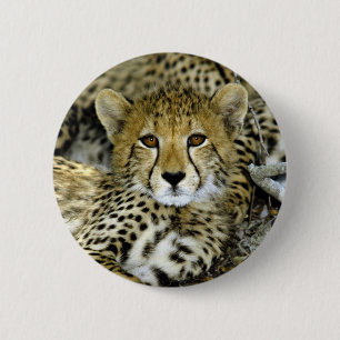 Badge Rond 5 Cm Guépard mignon