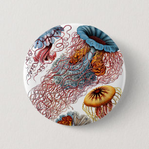 Badge Rond 5 Cm Haeckel Discomedusae