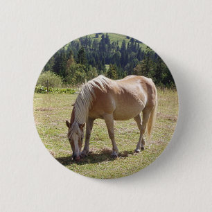 Badge Rond 5 Cm Haflinger Palomino Pony en Pâtes Vertes Photo
