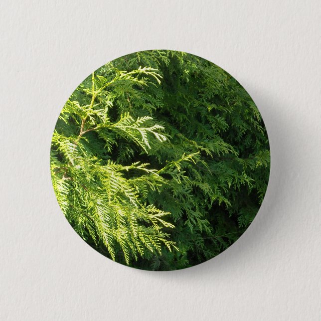Badge Rond 5 Cm Haie de cèdre (Devant)