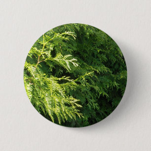 Badge Rond 5 Cm Haie de cèdre