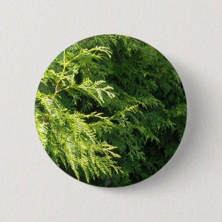Badge Rond 5 Cm Haie de cèdre