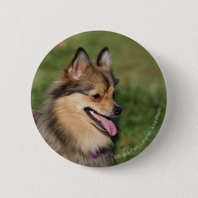 Badge Rond 5 Cm Halètement de Headshot de Pomeranian (Devant)