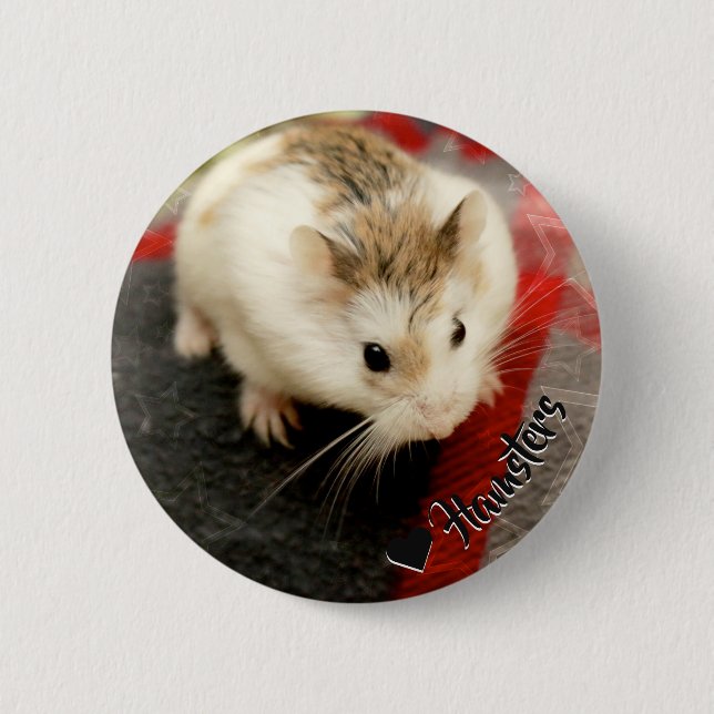 Badge Rond 5 Cm Hammyville - Cute Hamster (Devant)
