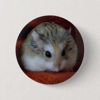 Badge Rond 5 Cm Hamster mignon sur un bouton - Hammy