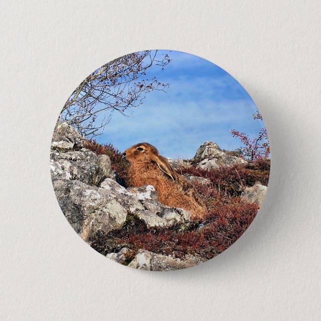 BADGE ROND 5 CM HARE (Devant)