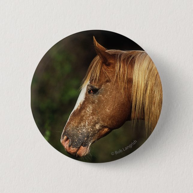 Badge Rond 5 Cm Headshot 1 de cheval d'Appaloosa (Devant)