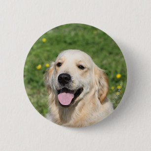 Badge Rond 5 Cm Headshot 1 de golden retriever