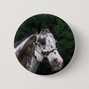 Badge Rond 5 Cm Headshot 2 de cheval d'Appaloosa