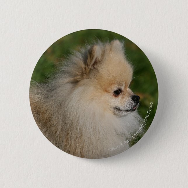 Badge Rond 5 Cm Headshot 2 de Pomeranian (Devant)