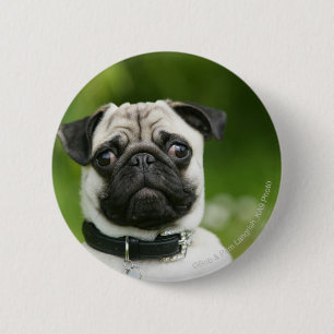 Badge Rond 5 Cm Headshot de carlin