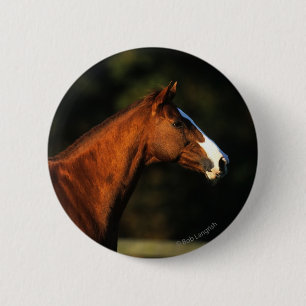 Badge Rond 5 Cm Headshot de cheval de pur sang