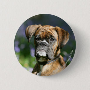 Badge Rond 5 Cm Headshot de chien de boxeur