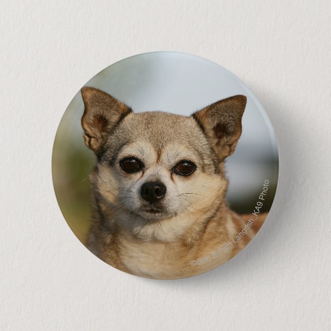 Badge Rond 5 Cm Headshot de chiwawa (Devant)