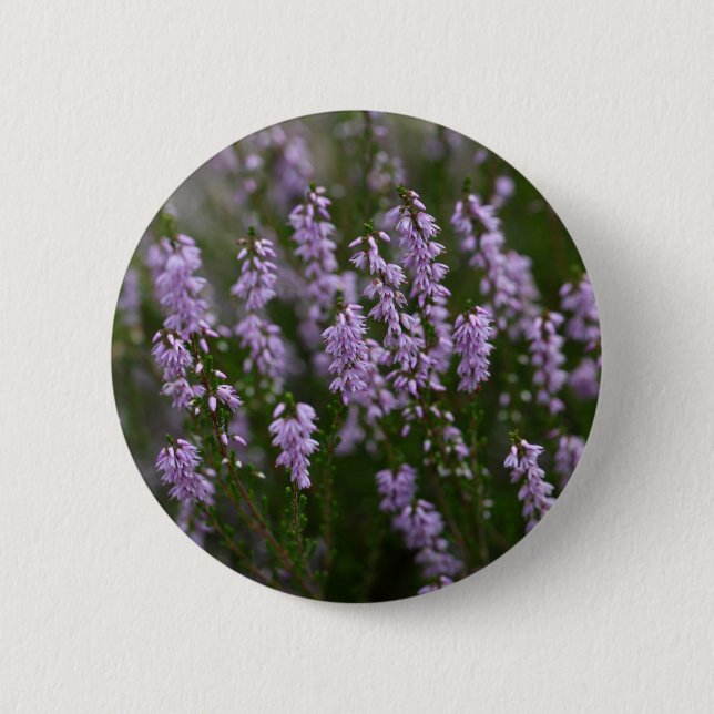 Badge Rond 5 Cm Heather commune (Calluna vulgaris) (Devant)
