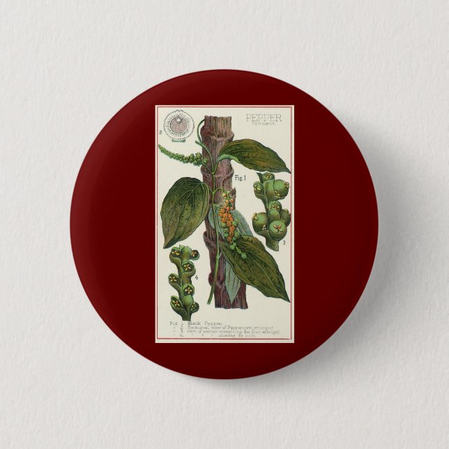 Badge Rond 5 Cm Herbes alimentaires vintages épices, poivre noir P (Devant)