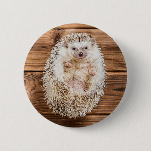 Badge Rond 5 Cm Hérisson
