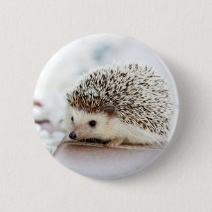 Badge Rond 5 Cm Hérisson mignon de bébé