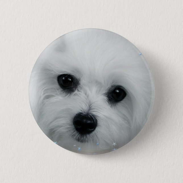 Badge Rond 5 Cm Hermes le maltais (Devant)