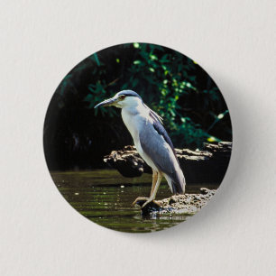 Badge Rond 5 Cm héron de nuit Noir-couronné
