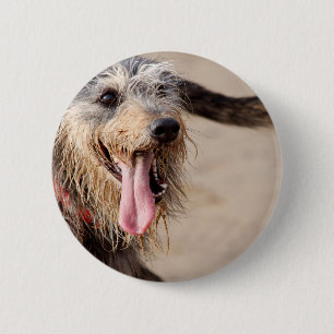 Badge Rond 5 Cm Heureux chien sur une plage