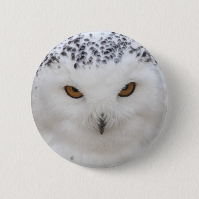 Badge Rond 5 Cm Hibou de Milou (Devant)