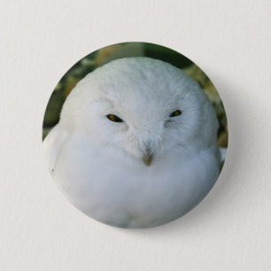 Badge Rond 5 Cm Hibou des neiges