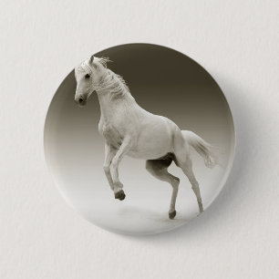 Badge Rond 5 Cm hippocampe