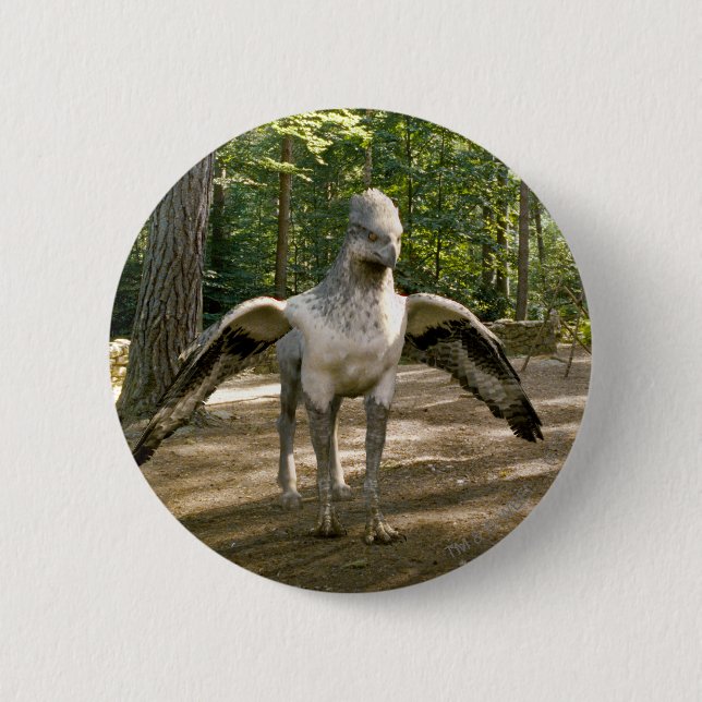 Badge Rond 5 Cm Hippogriff (Devant)