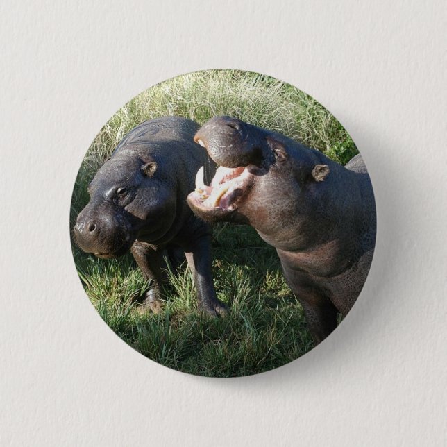 Badge Rond 5 Cm Hippopotame (Devant)