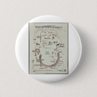 Badge Rond 5 Cm Histoire de vie du parasite de malaria Plasmodiume