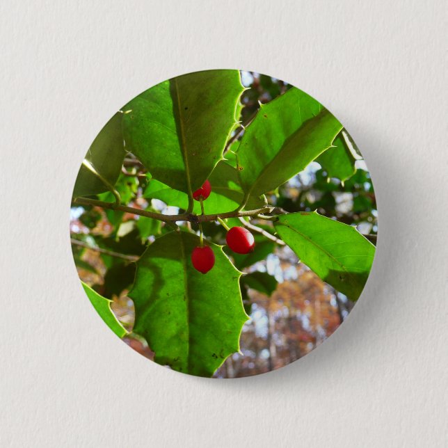 Badge Rond 5 Cm Holly Feuilles II Vacances Nature Botanique (Devant)