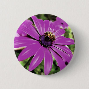 Badge Rond 5 Cm Honey Bee Sur Un Daisy Africain Violet