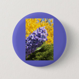 Badge Rond 5 Cm Hyacinthe et Forsythie