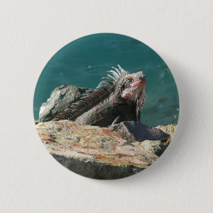Badge Rond 5 Cm Iguana à St Thomas
