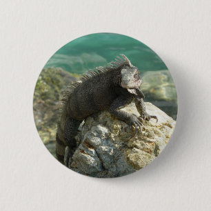 Badge Rond 5 Cm Iguane sur les rochers à St. Thomas