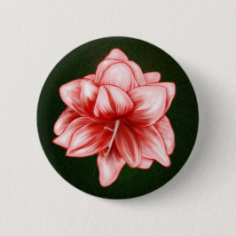 Badge Rond 5 Cm Illustration Amaryllis rose et blanc