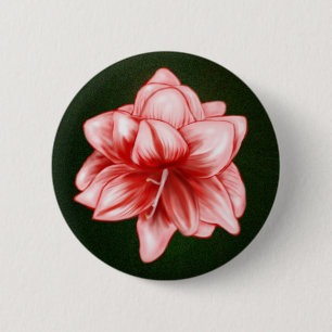 Badge Rond 5 Cm Illustration Amaryllis rose et blanc