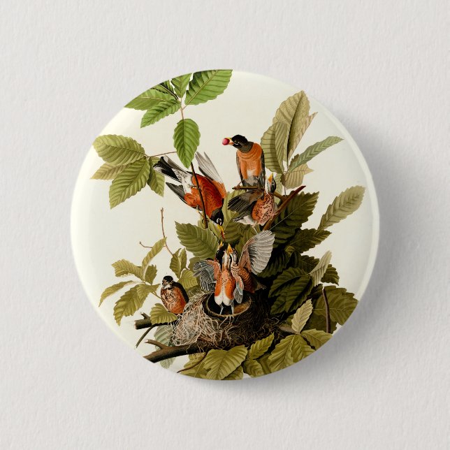 Badge Rond 5 Cm Illustration Audubon American Robin Wildlife Bird (Devant)