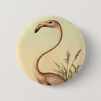 Badge Rond 5 Cm Illustration rose vintage de Flamant rose