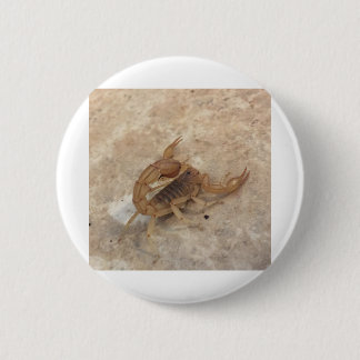 BADGE ROND 5 CM IMG_0147.JPG