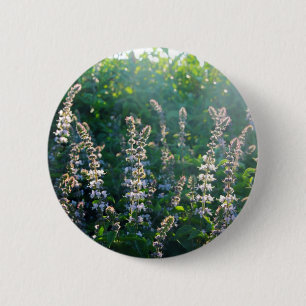 BADGE ROND 5 CM IMG_3703