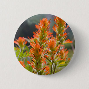 Badge Rond 5 Cm Indian Paintbrush