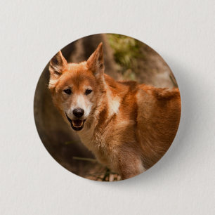 Badge Rond 5 Cm Insigne australien de dingo